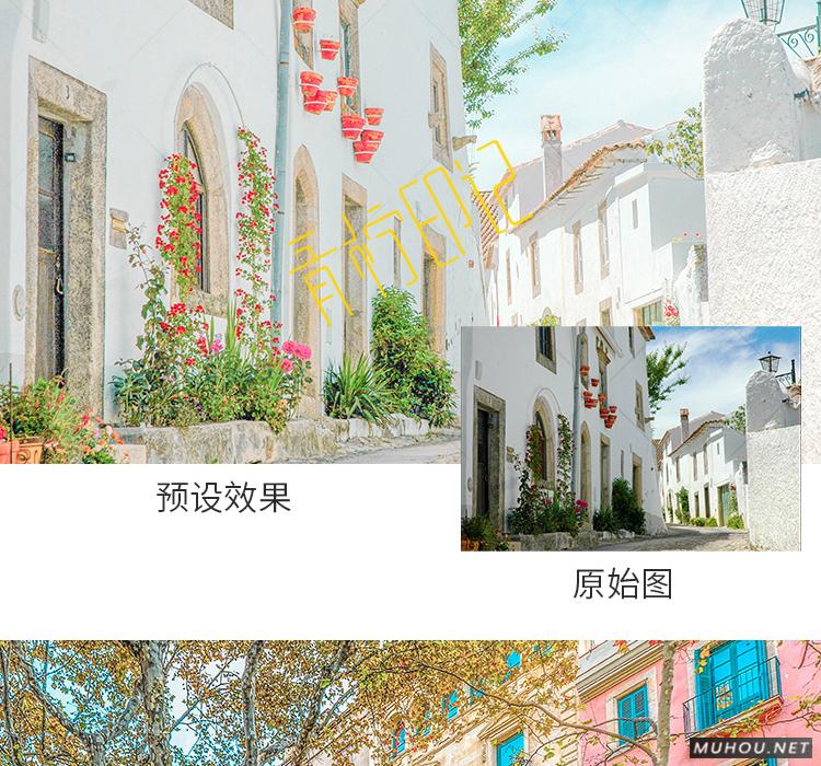 Luts调色预设：视频调色（LR-PR-AE-PS-FCPX-达芬奇）