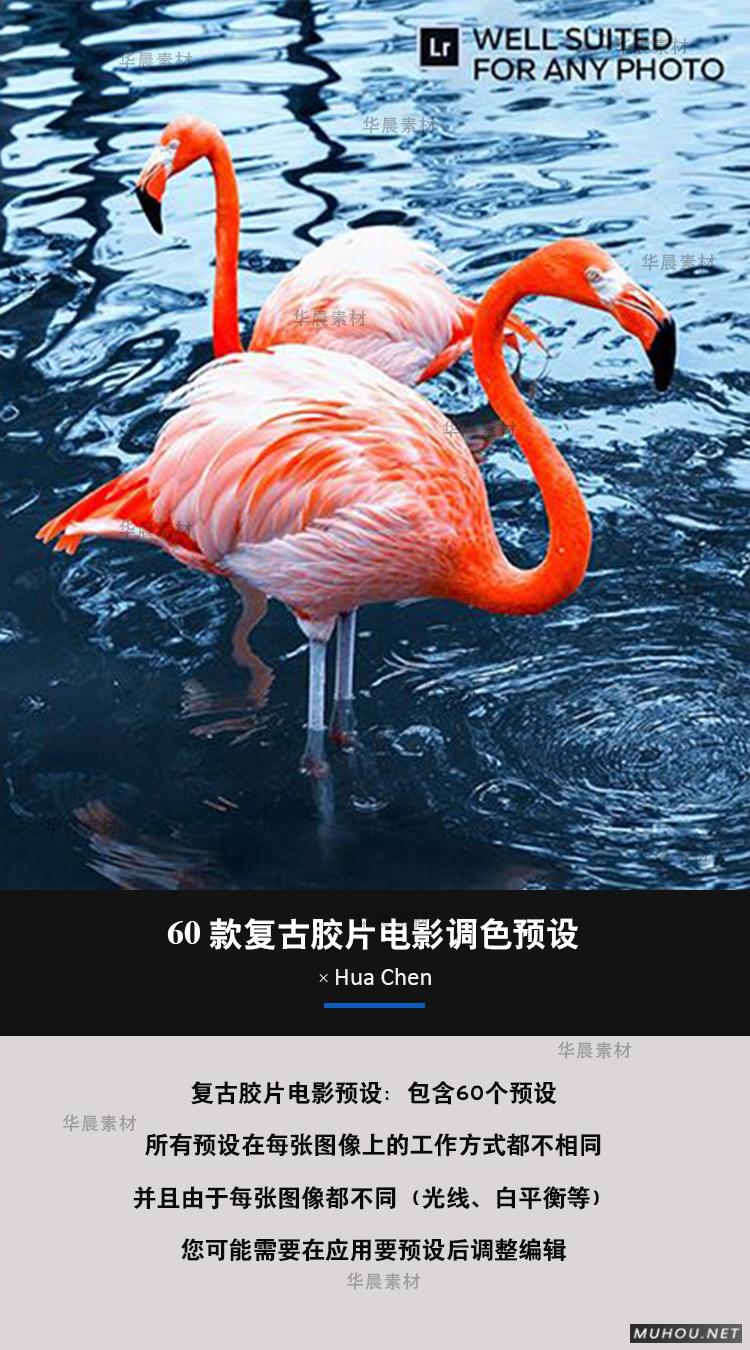 Luts调色预设：视频调色（LR-PR-AE-PS-FCPX-达芬奇）