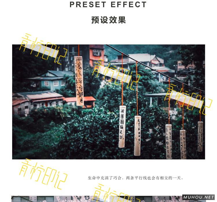 Luts调色预设：30组复古电影历史胶片预设视频调色滤镜（LR-PR-AE-PS-FCPX-达芬奇）