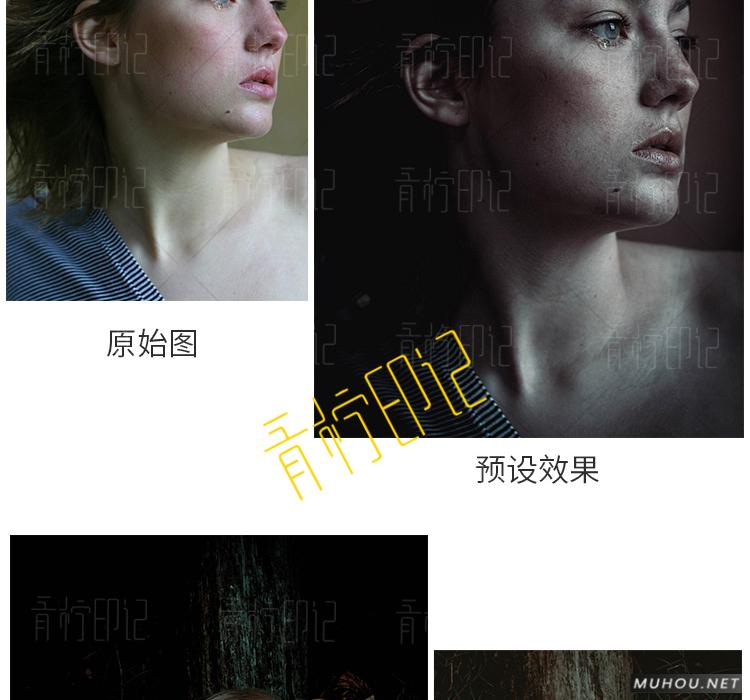 Luts调色预设：视频调色（LR-PR-AE-PS-FCPX-达芬奇）