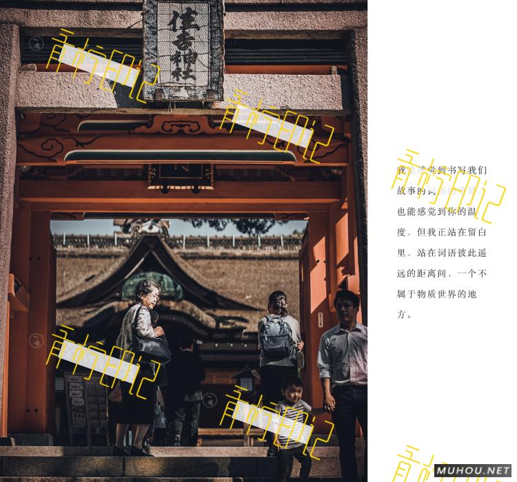 Luts调色预设：30组复古电影历史胶片预设视频调色滤镜（LR-PR-AE-PS-FCPX-达芬奇）