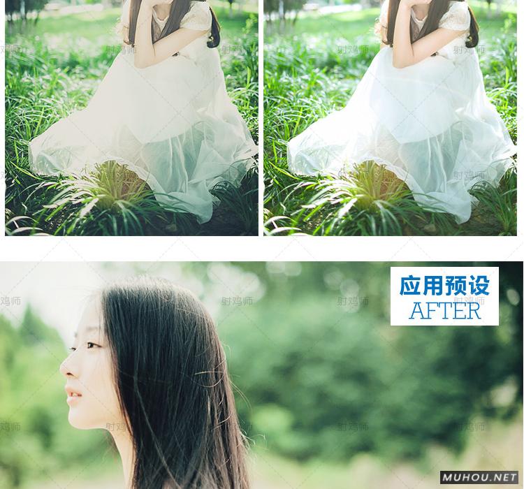 Luts调色预设：视频调色（LR-PR-AE-PS-FCPX-达芬奇）