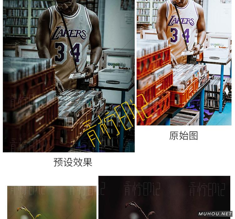 Luts调色预设：视频调色（LR-PR-AE-PS-FCPX-达芬奇）