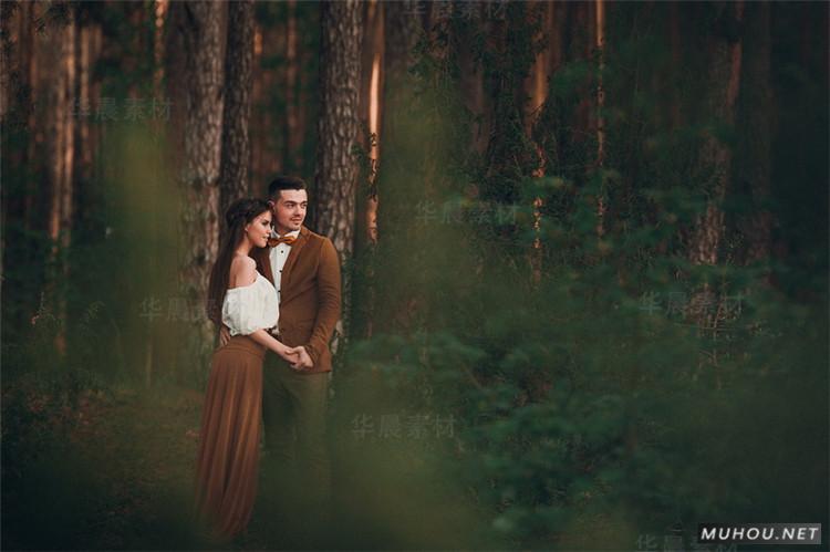 Luts调色预设：视频调色（LR-PR-AE-PS-FCPX-达芬奇）