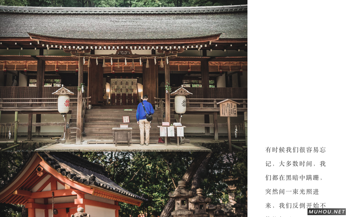 Luts调色预设：视频调色（LR-PR-AE-PS-FCPX-达芬奇）