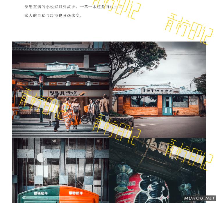 Luts调色预设：30组复古电影历史胶片预设视频调色滤镜（LR-PR-AE-PS-FCPX-达芬奇）