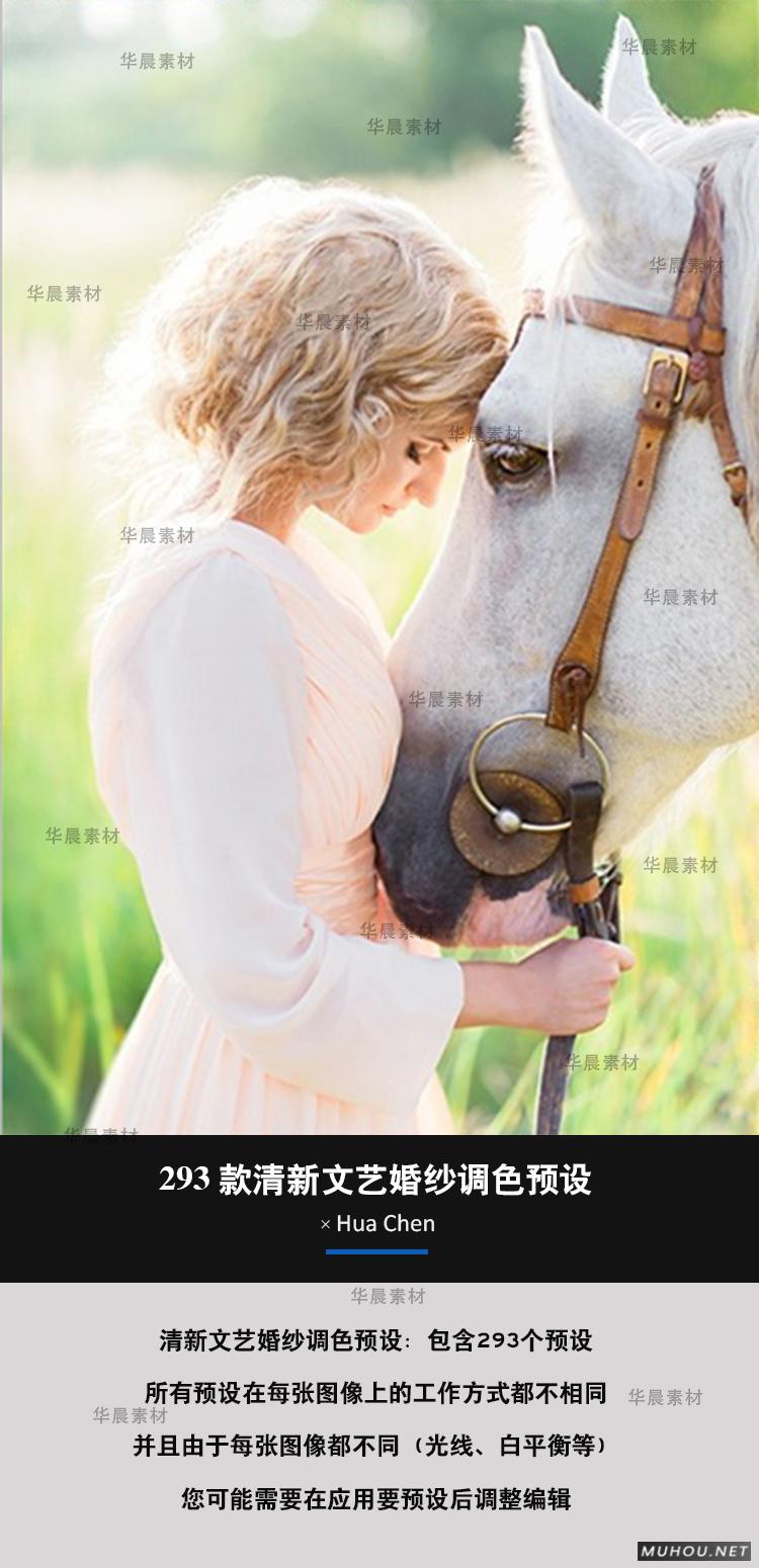 Luts调色预设：视频调色（LR-PR-AE-PS-FCPX-达芬奇）