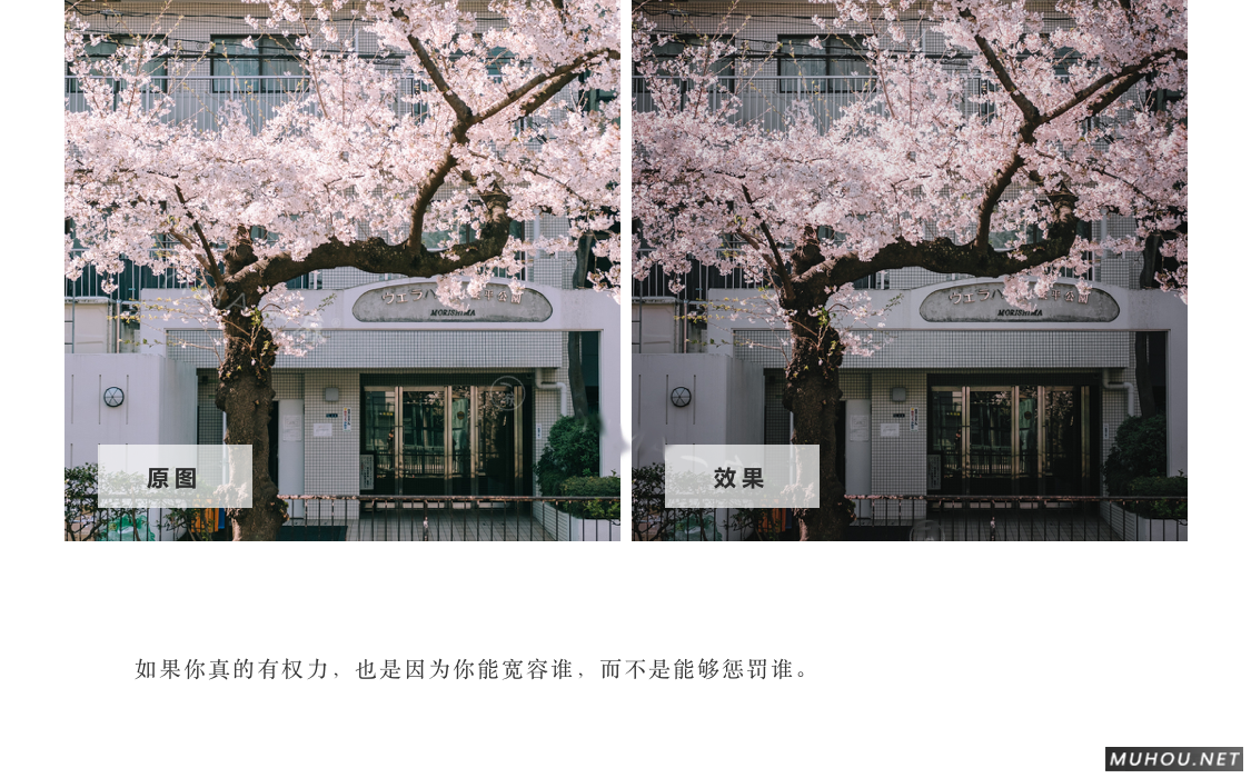 Luts调色预设：视频调色（LR-PR-AE-PS-FCPX-达芬奇）