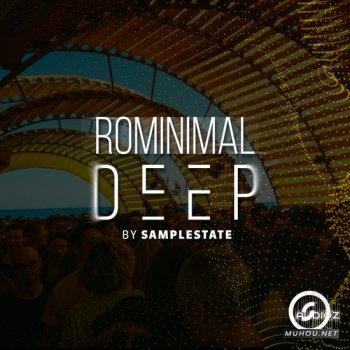 K神采样Samplestate Rominimal Deep MULTiFORMAT-DECiBEL音色文件免费下载