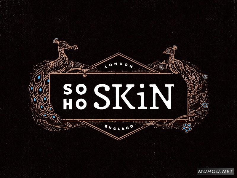 【标志设计】SOHO SKIN伦敦皮肤护理公司标志设计 [11P]
