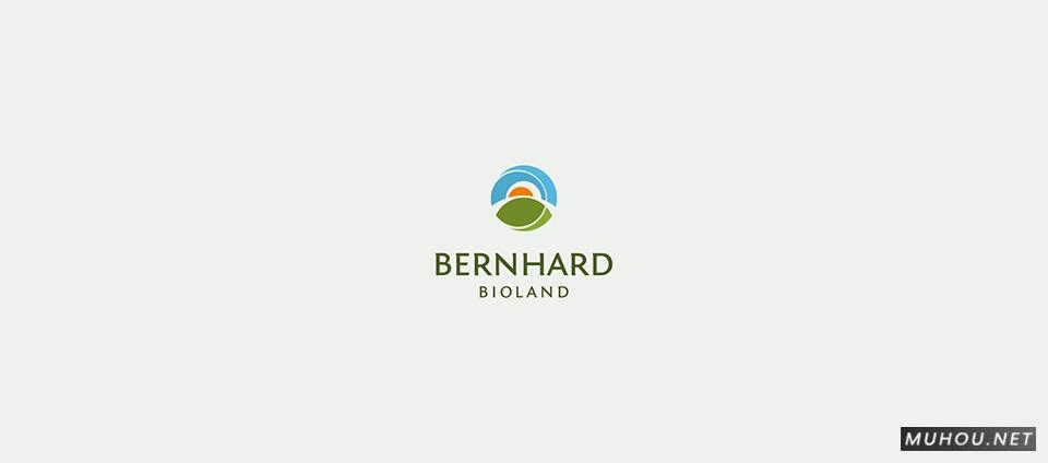 【标志设计】Alexander Haas `s Logo Design [573P] 6/6