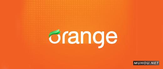 【标志设计】国外LOGO欣赏之植物系列---橘子-橙子标志 [34P]