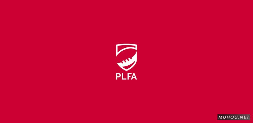 【标志设计】Dominik Pacholczyk`s Logo Design [30P]