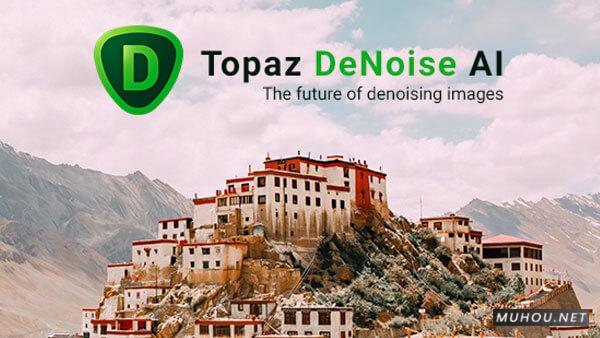 AI图像降噪软件Topaz DeNoise AI 2.2.0破解版免费下载