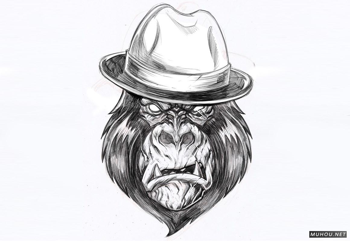 【标志设计】美国Dayne Henry Jr插画版动物头像LOGO设计 [41P]