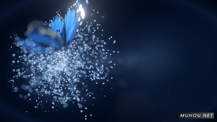 PR模板|漂亮的蝴蝶飞舞logo动画视频模板#Butterfly Logo