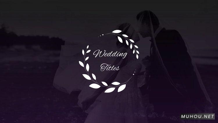 PR模板|优雅的婚礼头衔11组花纹标题包装视频模板#Elegant Wedding Titles