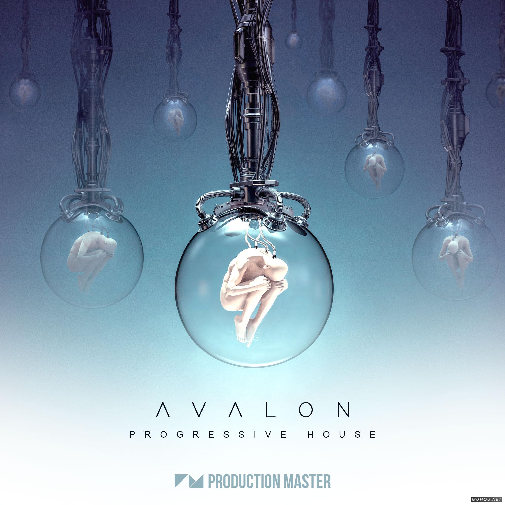 渐进式房屋Production Master Avalon Progressive House WAV-DECiBEL音色文件免费下载插图