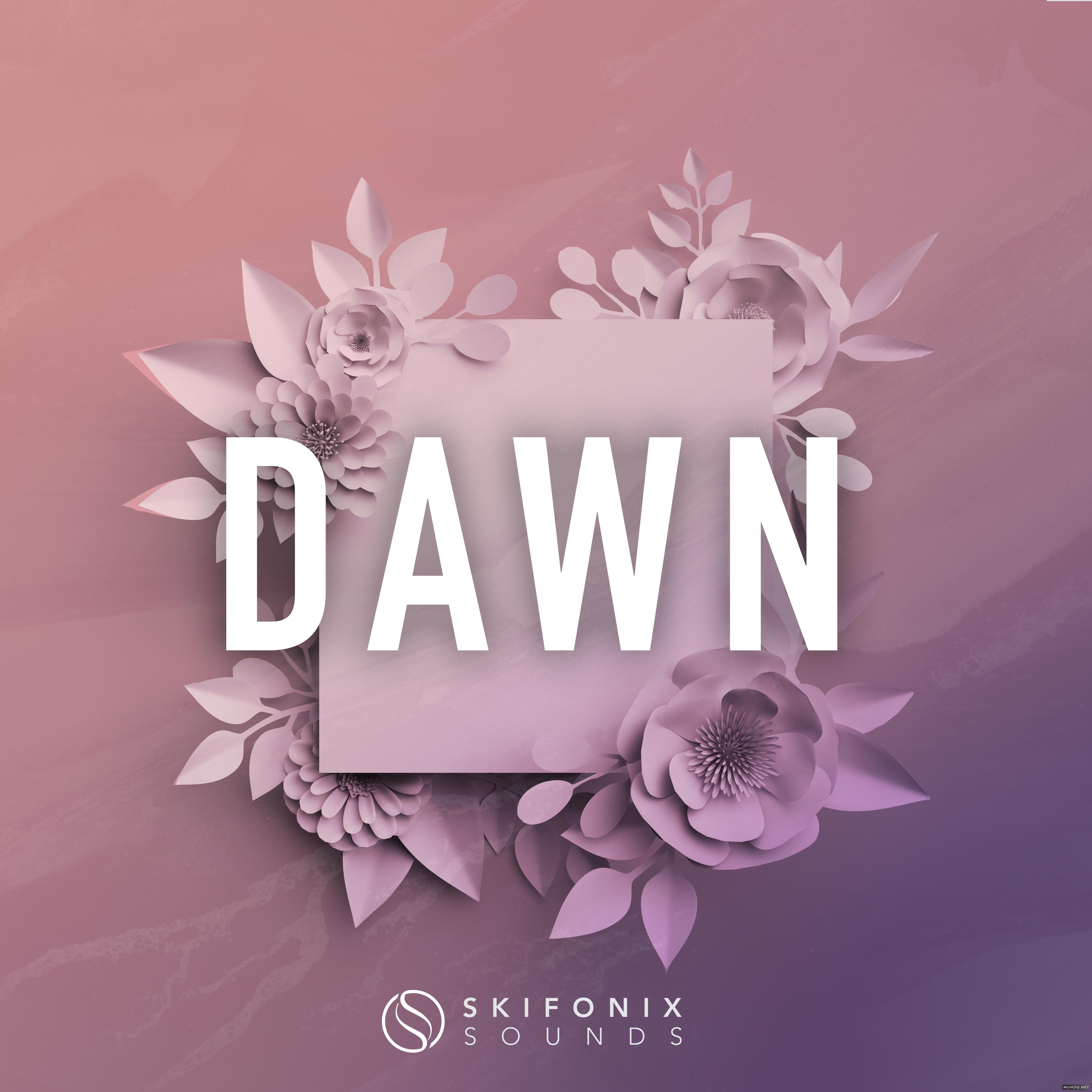 黎明未来情感旋律库Skifonix Sounds Dawn Future House WAV MiDi SYNTH PRESETS DAW TEMPLATE-DISCOVER音色文件免费下载插图