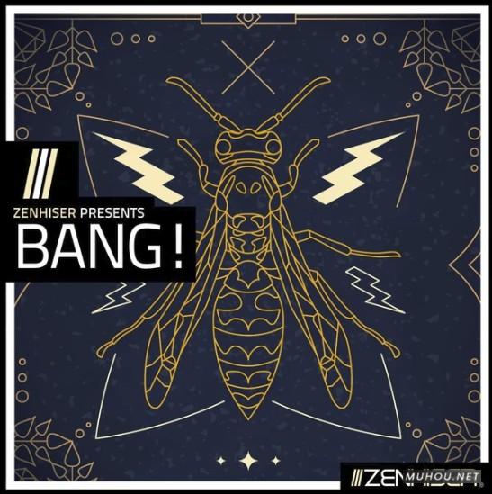 砰! 声音的艺术Zenhiser Bang MULTiFORMAT-DECiBEL音色文件免费下载