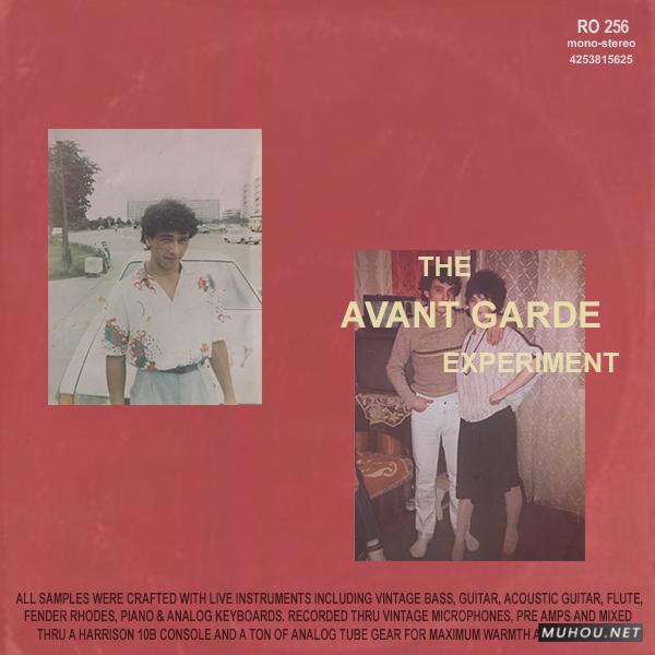 实验性音源资料包Mario Luciano – The Avant Garde Experiment (Compositions and Stems) WAV音色文件免费下载插图