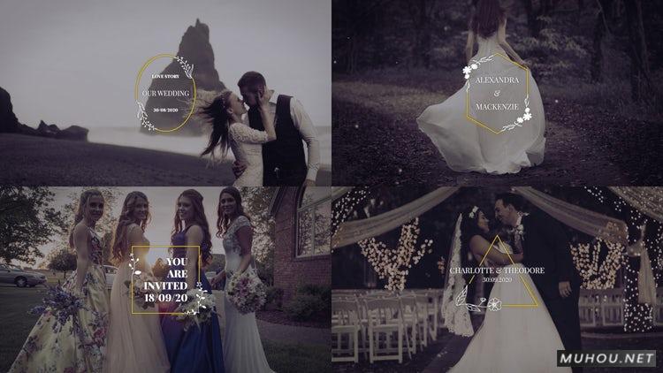 美丽的婚礼头衔美丽的文字Titles视频PR素材模板插图