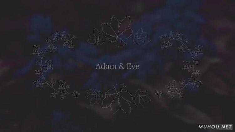 PR模板|婚礼头衔手绘文化文本动画包装PR素材视频#Wedding Titles