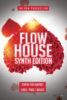 Flow House合成器浏览器8Dio 8DM Flow House Synth Edition KONTAKT音色文件免费下载插图