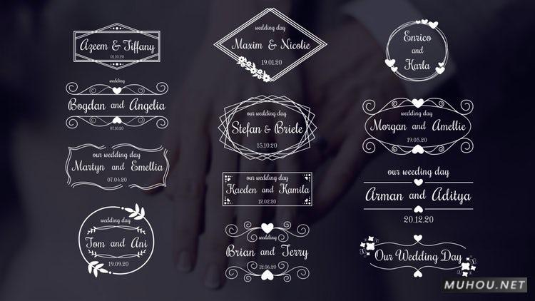 PR模板|婚礼礼包动态花纹包装视频模板#Wedding Titles Pack插图