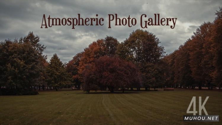 PR模板|大气图库原始森林场景融合视频相册4K模板4K#Atmospheric Photo Gallery 4K插图