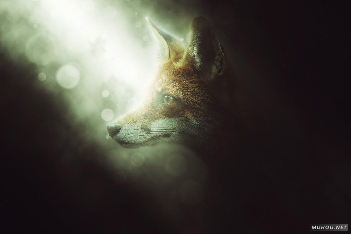 沙漏 Photoshop 动作 Dust Storm Photoshop Action 素材下载支持2020