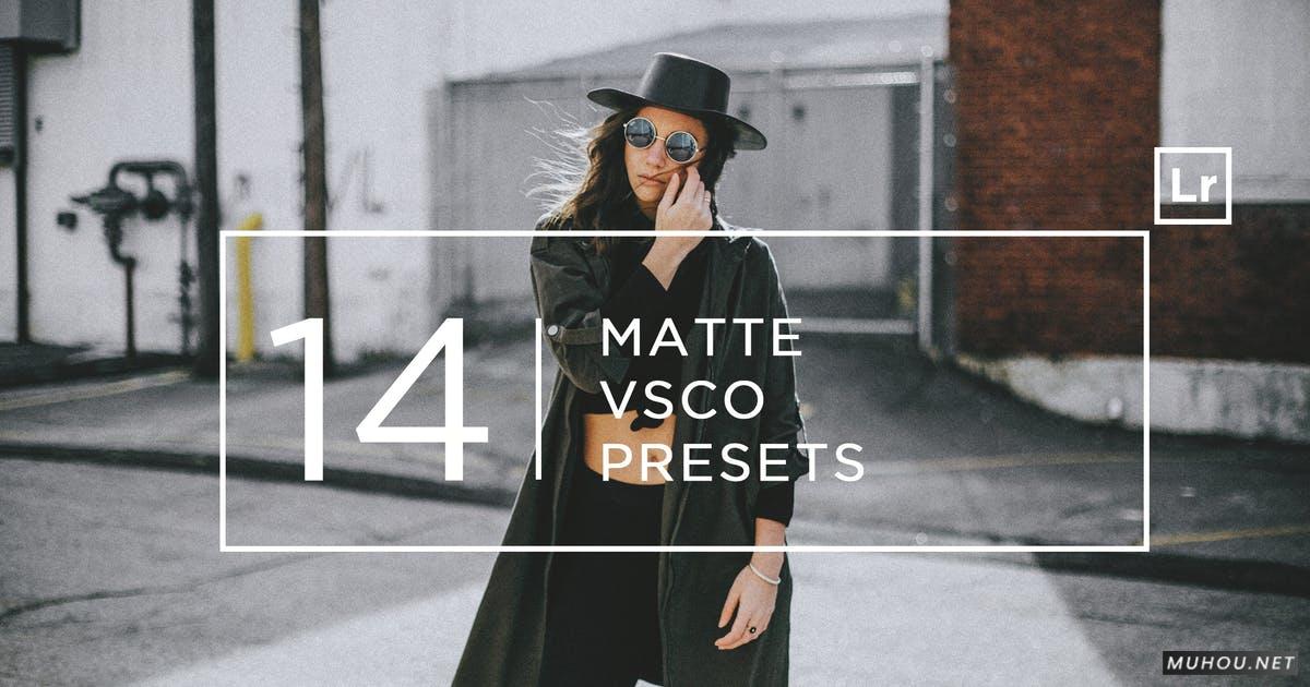 LR调色预设：磨砂VSCO电影胶片Lightroom预设14 Matte + VSCO Lightroom Presets插图