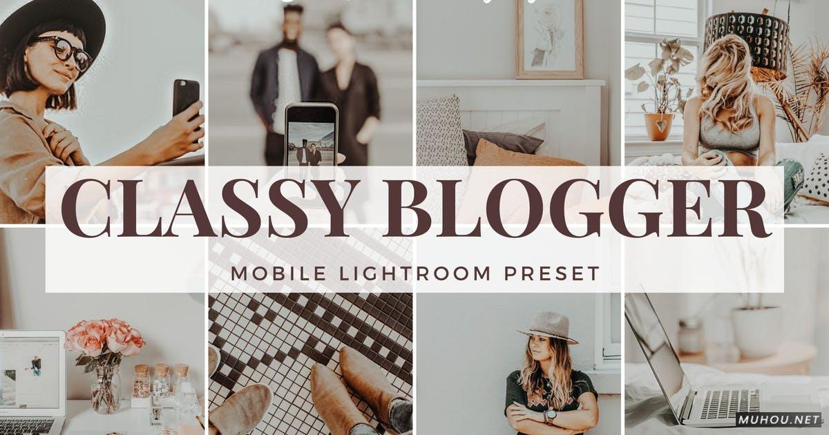 LR调色预设+手机版-INS网红博客干净灰调手机版LR胶片Classy Blogger - Mobile Lightroom Preset