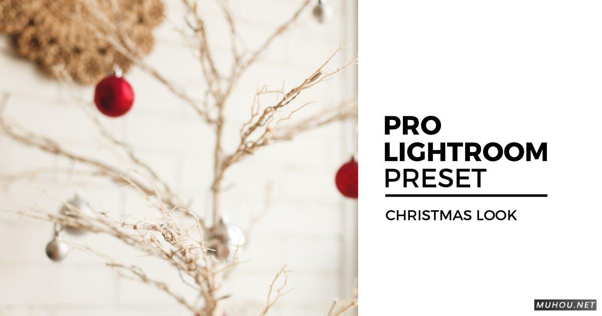 PS/LR调色预设-6组圣诞白色风格颜色效果滤镜 Christmas Look Lightroom Preset插图