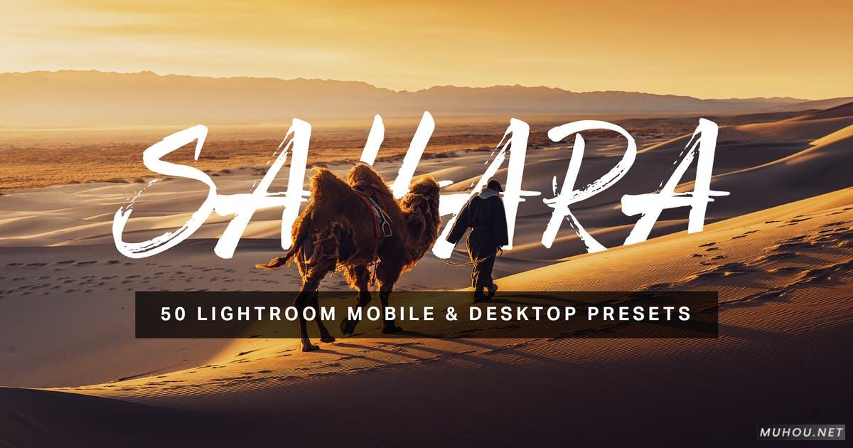 Luts调色预设-50套沙漠旅行全系列调色效果下载50 Sahara Lightroom Presets and LUTs
