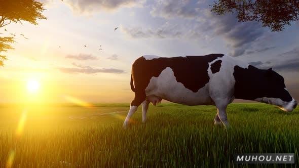 牛和小狗在日落场动画背景视频 Cow and Puppies at Sunset Field插图