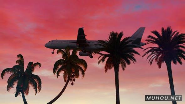 黄昏时拍摄棕榈树上的飞机视频素材 Airplane插图