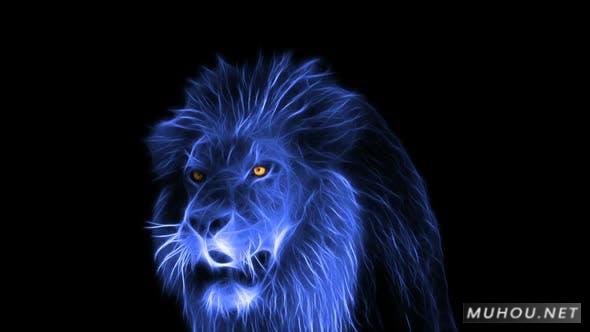 超酷幽灵狮子绘动物视频素材Lion Ghost插图