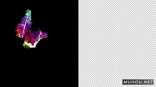 彩色光绘蝴蝶透明过渡视频转场素材Transitions Life Color插图