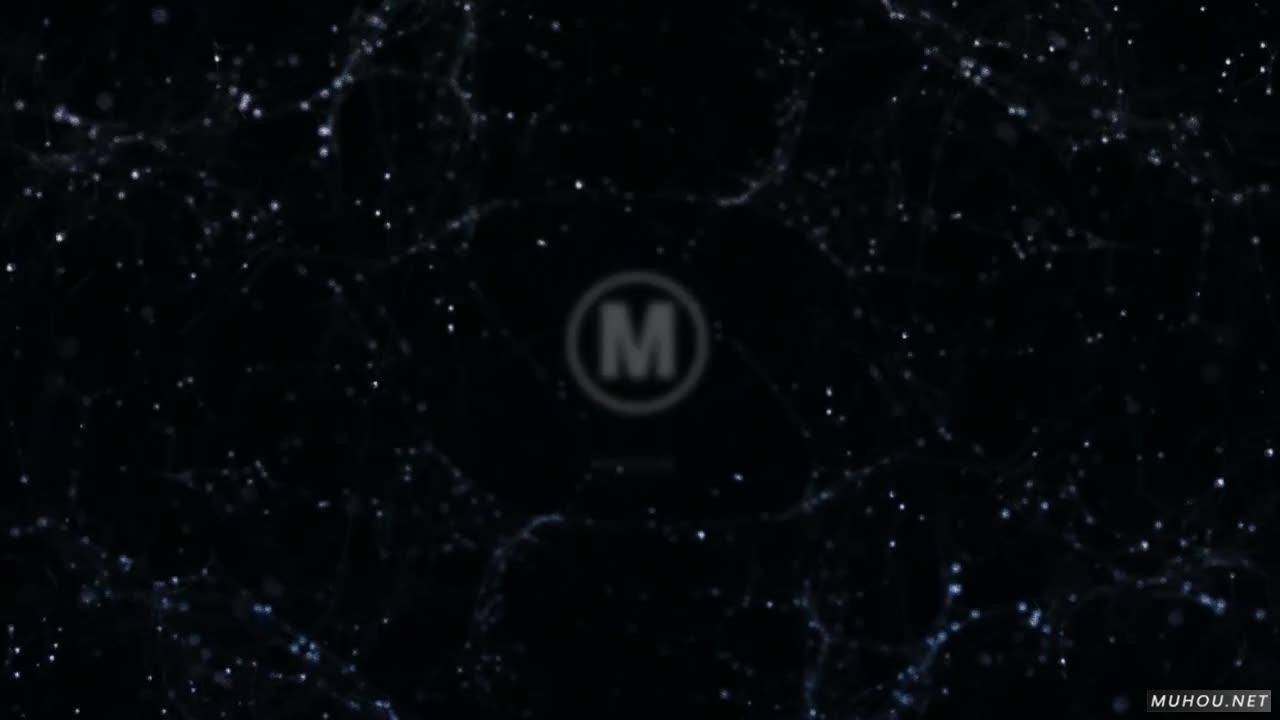 蜘蛛网网络连接logo标志AE视频模板