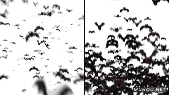 黑暗蝙蝠过渡 2 种风格转场视频素材插图