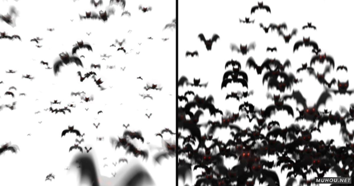黑暗蝙蝠过渡 2 种风格转场视频素材