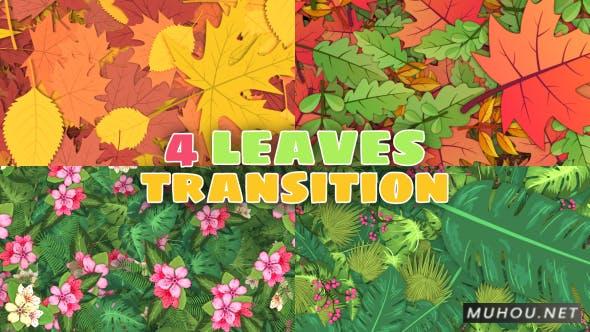 叶子树叶季节自然过渡转场视频素材4组插图