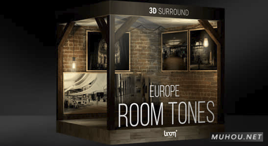 音效-119个公共环境繁忙仓库室内空旷场景回声嘈杂无损音效 Room Tones Europe