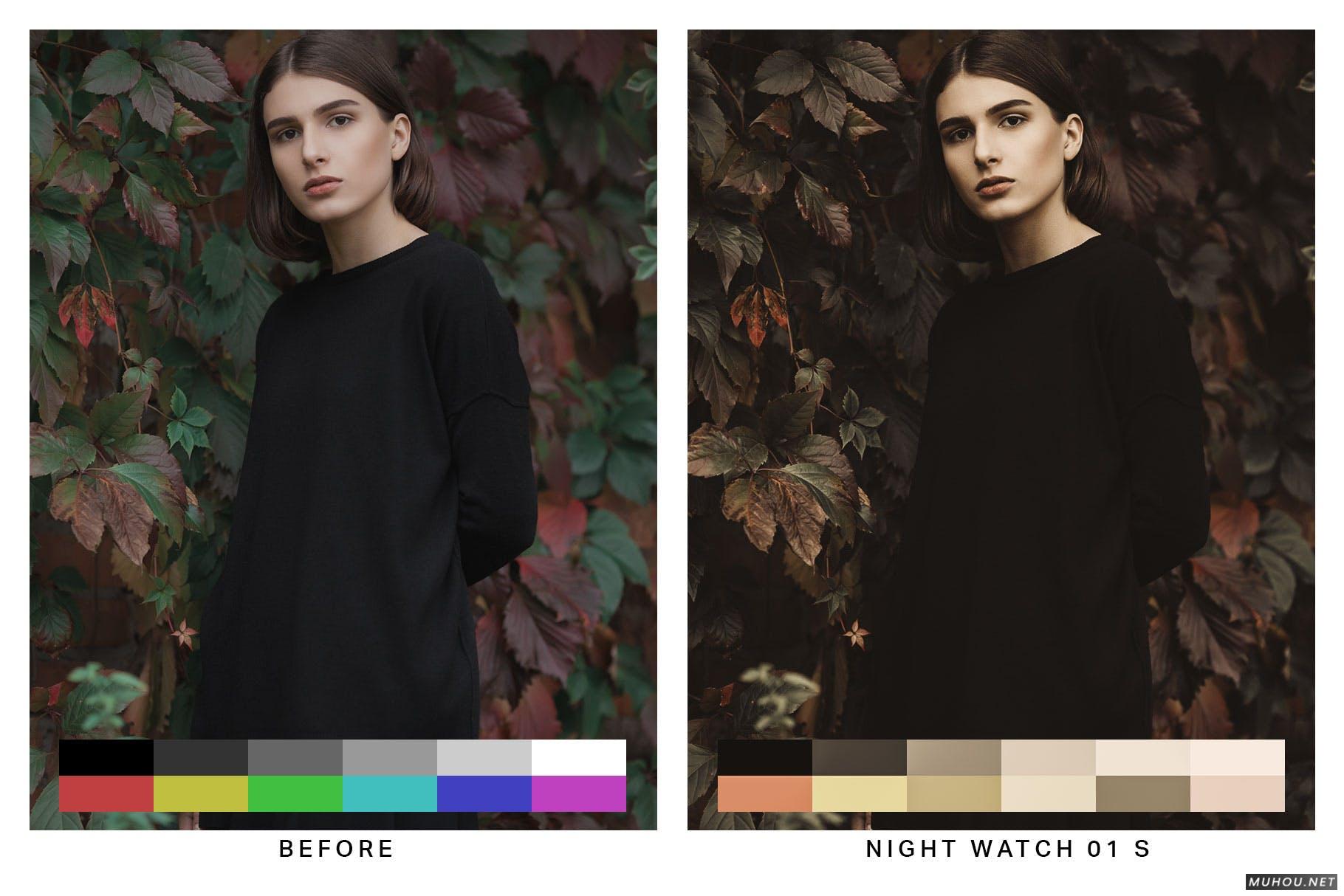 Luts调色预设-50套著名绘画调色复古绘画色调滤镜下载 50 Painting Tones Lightroom Presets and LUTs插图9