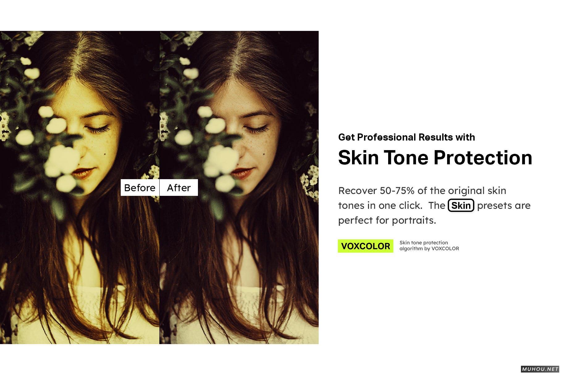 Luts调色预设-50套著名绘画调色复古绘画色调滤镜下载 50 Painting Tones Lightroom Presets and LUTs插图16