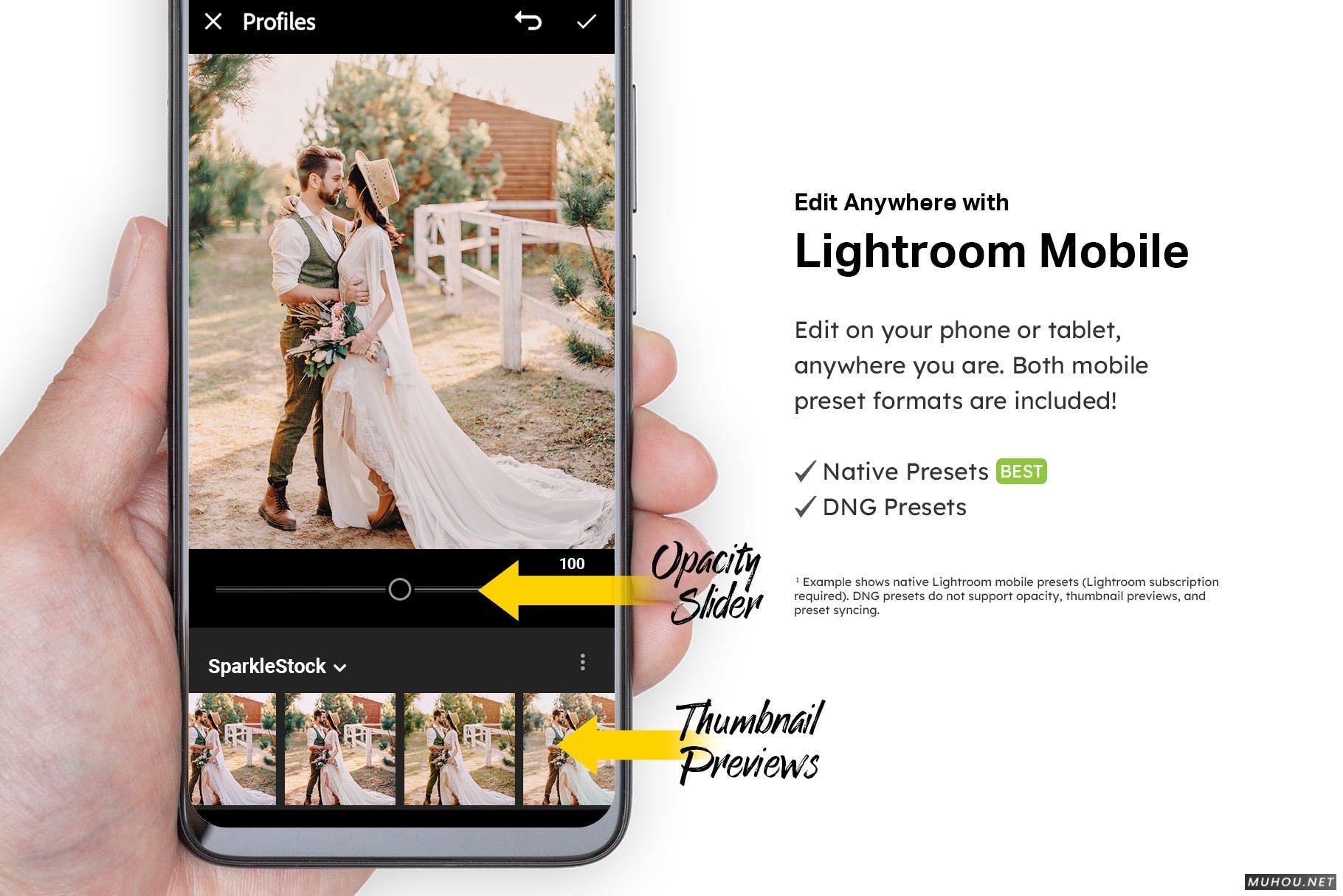 Luts调色预设-50个波希米亚风格清淡风视频调色50 Bohemian Lightroom Presets and LUTs插图13