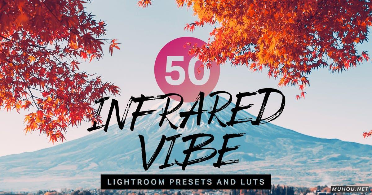Luts调色预设-50套数字红外照相机和模拟红外胶片调色滤镜 50 Infrared Vibe Lightroom Presets and LUTs插图