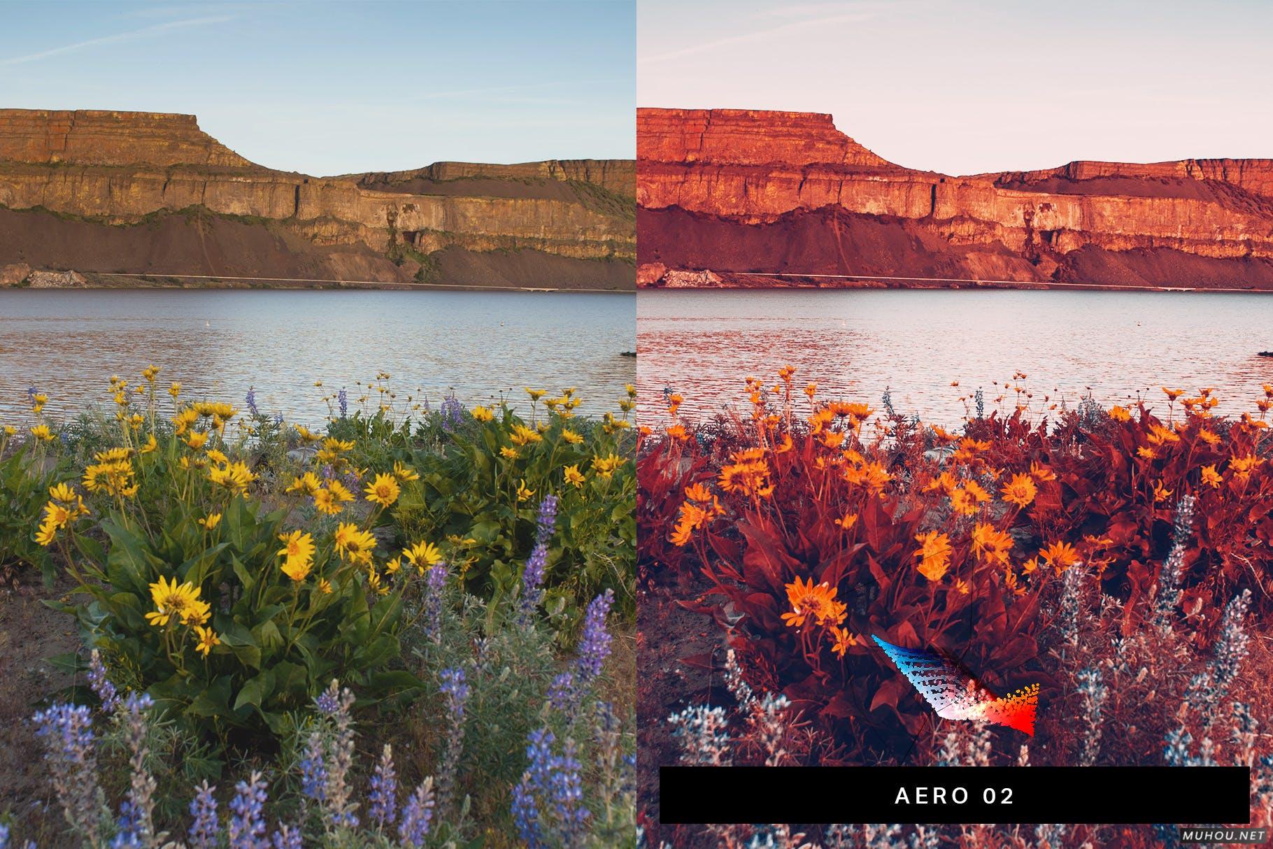 Luts调色预设-50套数字红外照相机和模拟红外胶片调色滤镜 50 Infrared Vibe Lightroom Presets and LUTs插图8