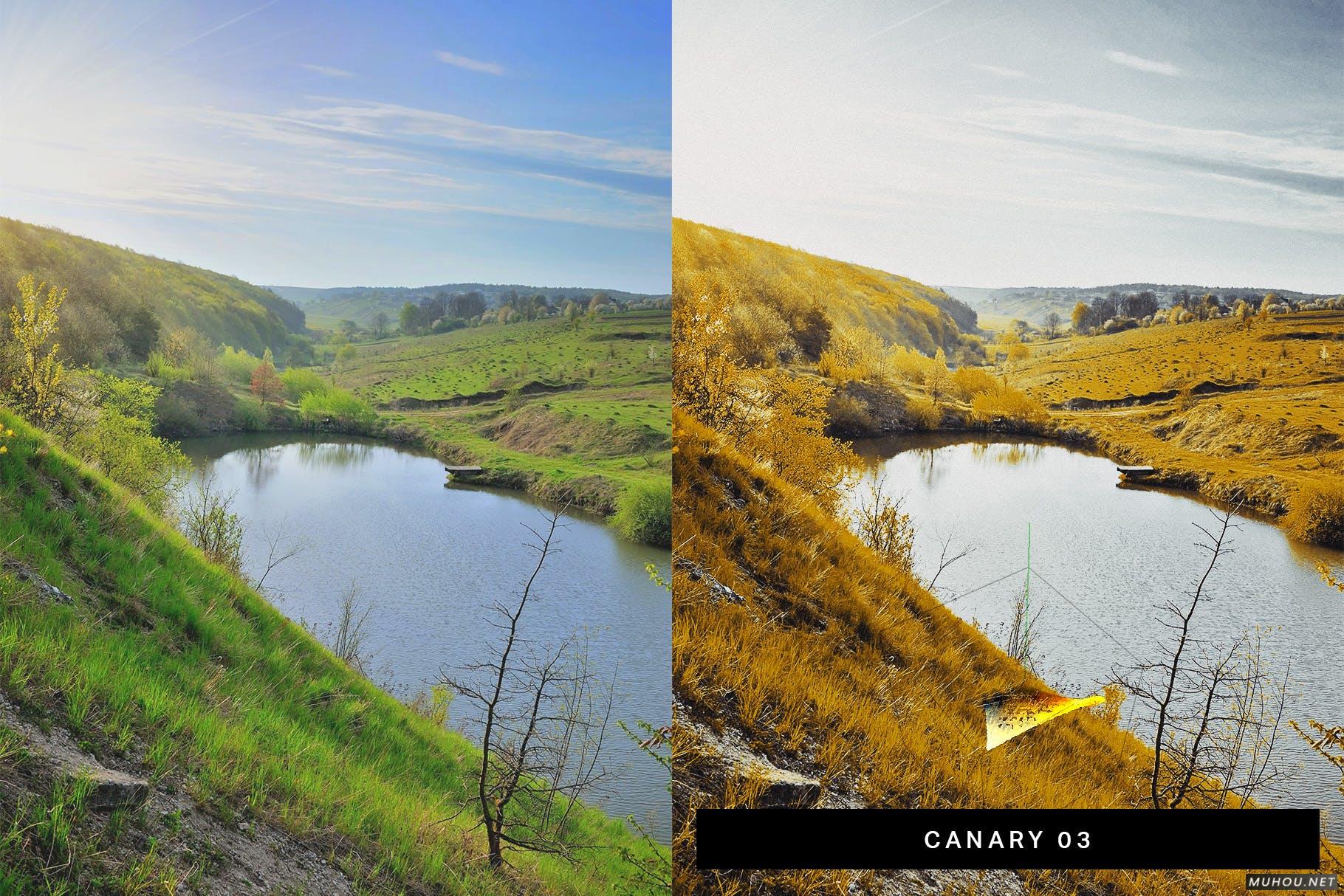 Luts调色预设-50套数字红外照相机和模拟红外胶片调色滤镜 50 Infrared Vibe Lightroom Presets and LUTs插图9